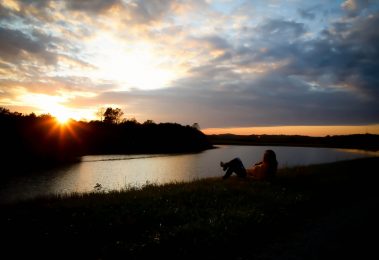 View from the Barn at Mills Farm